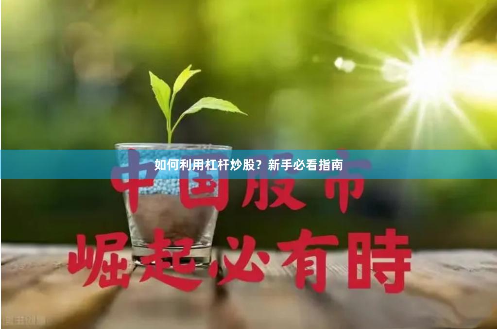 如何利用杠杆炒股？新手必看指南