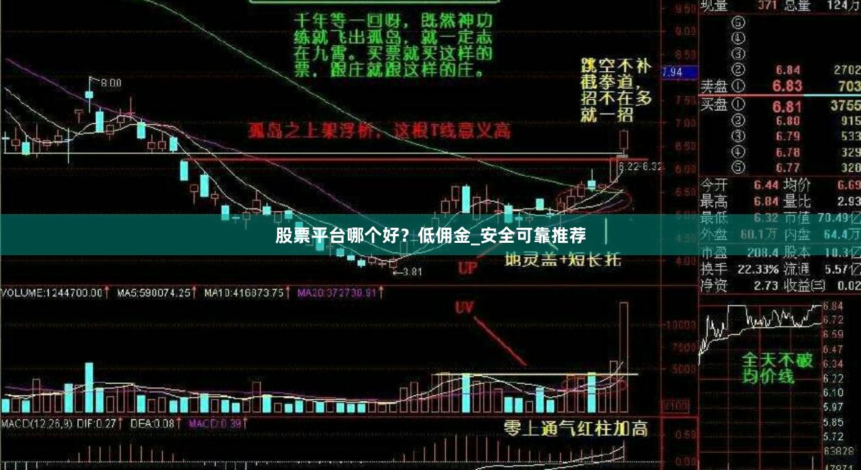 股票平台哪个好？低佣金_安全可靠推荐