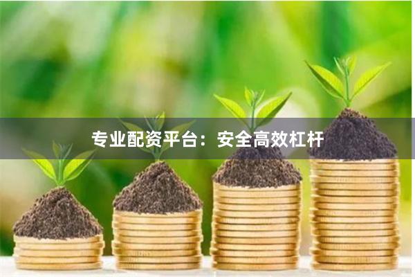 专业配资平台：安全高效杠杆